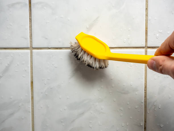 Best Affordable Mold Removal  in Koontz Lake, IN