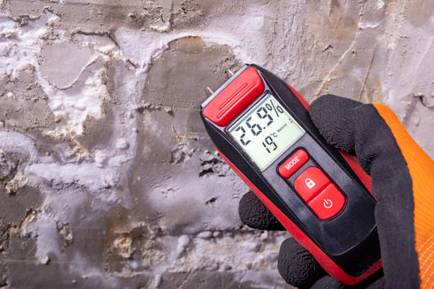 Attic Mold Removal in Koontz Lake, IN